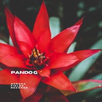 Coffee Shop - Single - Pando G