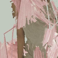 Anima - Vladislav Delay