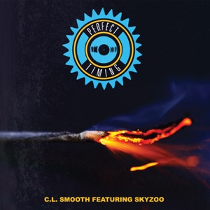 Perfect Timing (feat. Skyzoo) - EP