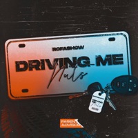 Driving Me Nuts - Single - Rofashow