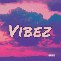 Vibez - Single - Quan