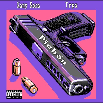 Pichón (feat. Xany Sosa) - Single