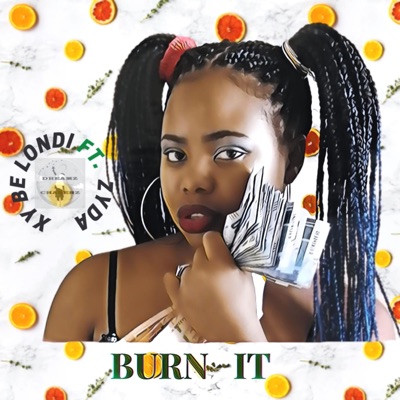 Burn It (feat. Zyda) - Single