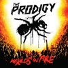 The Prodigy