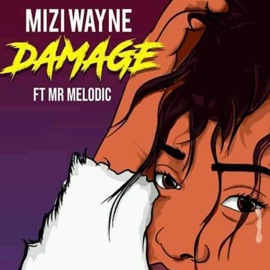 Damage (feat. Mr.Melodic) Mizi Wayne