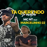 Ta Querendo Se Envolver - Single - DJ MARCELINHO 22 & MC Nt