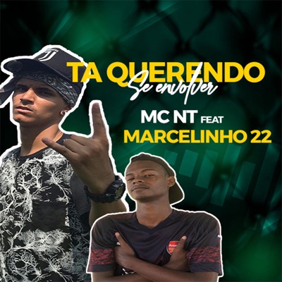 Ta Querendo Se Envolver - Single