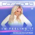 I'm Feeling It (In The Air)