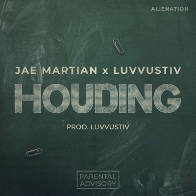 Houding (feat. Luvvustiv) - Single