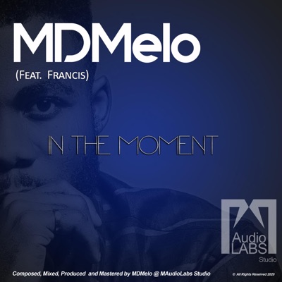 In the Moment (feat. Francis) - Single