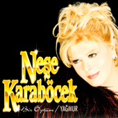 Seni Buldum Ya song art