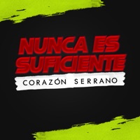 NUNCA ES SUFICIENTE