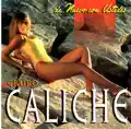 Mosaico Caliche_viejitas Del Recuerdo_la Profesora_el Locutor_me Equivoque Co