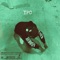 Right Now (feat. Quezzo2x) - ypcyungin lyrics