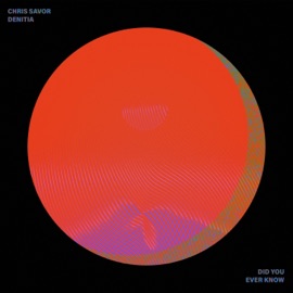 Did You Ever Know (feat. Denitia) Chris Savor