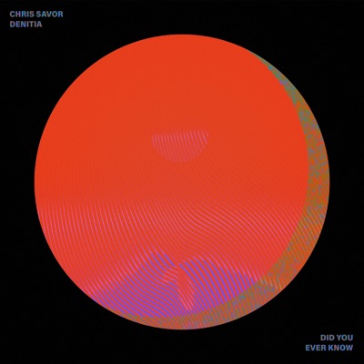 Did You Ever Know (feat. Denitia) - Single