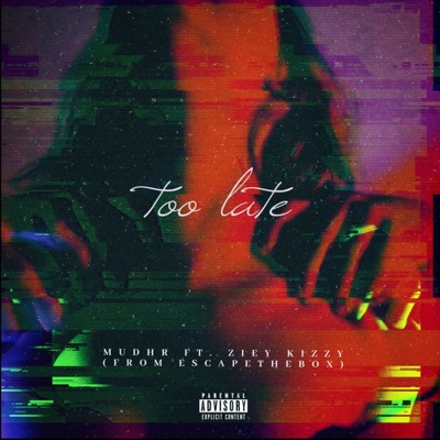 It's too late (feat. Ziey Kizzy) - Single