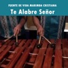 Fuente de vida Marimba Cristiana - Canto Fuente De Vida