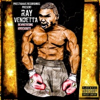 Devestating Knockouts - Ray Vendetta