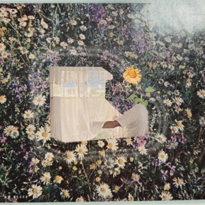 No Sleep - Single