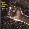 Chank - Papa Grows Funk lyrics