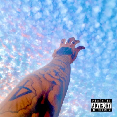 Touch the Sky (feat. LMB DG & Krash Indigo) - Single