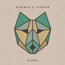 Soon Soon (feat. Vienna) Birkwin Jersey