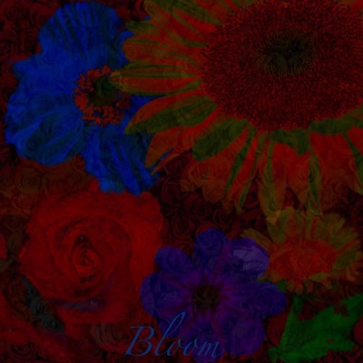 Bloom - Single