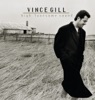 Vince Gill - A Little More Love
