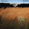 White Lion - Little Fighter artwork