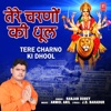 Tere Charno Ki Dhool - Single