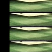 Later - Single - Sholoh