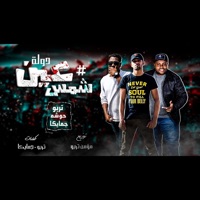 مهرجان عين شمس دوله - Single - Momen Turbo, حوشه & جاميكا