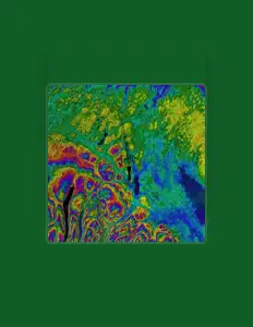Ouve Bach Electronic, vê vídeos de música, lê a biografia, vê as datas da digressão e muito mais!