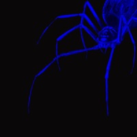 Album cover for Web by Rocky Morningside
