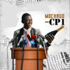 Cp1 - Machaud