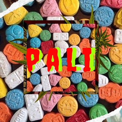 Pali (feat. JD el Complemento & Big Tirow Elmenoldehaina) - Single
