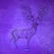 Concave Edges - Z Musto lyrics