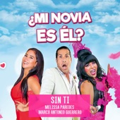 ¿Mi Novia Es Él? Sin Ti artwork