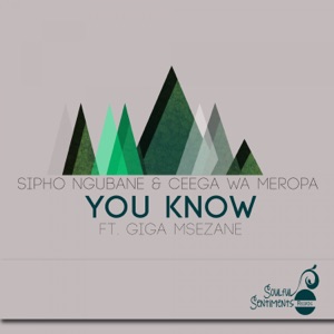 You Know (Sipho Ngubane & T-Drum Remix) [feat. Giga Msezane]