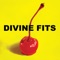 Would That Not Be Nice - Divine Fits lyrics
