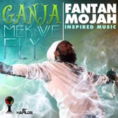 Ganja Mek We Fly Riddim (Instrumental) artwork