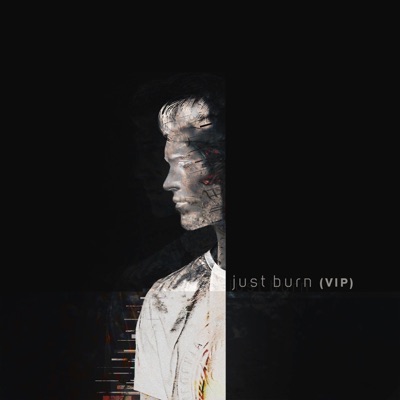 Just Burn (feat. Alter.) [VIP] - Single