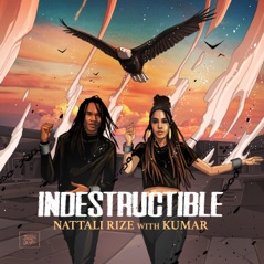 Indestructible (feat. Kumar) - Single