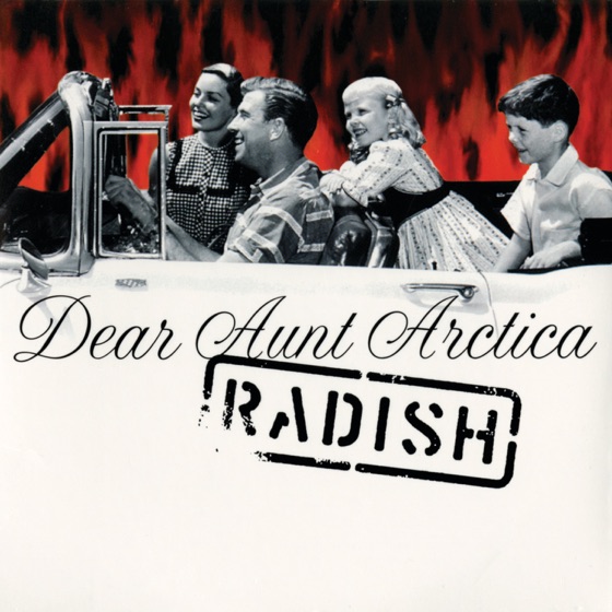 Cover artwork for Dear Aunt Arctica