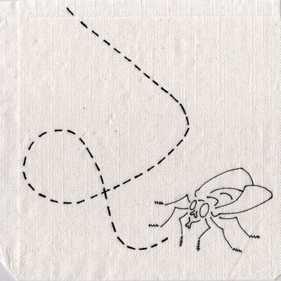 Fly - Single