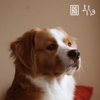 DESPERTAR (feat. A.C.O) - Single - MAYLO