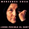 Todo Cambia - Mercedes Sosa lyrics