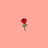 Roses - Single