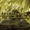 UVERworld - Minori (All Time Best Version)